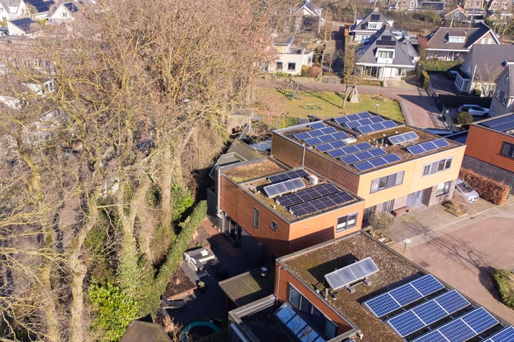 Foto 35 van Satijnzwam 25