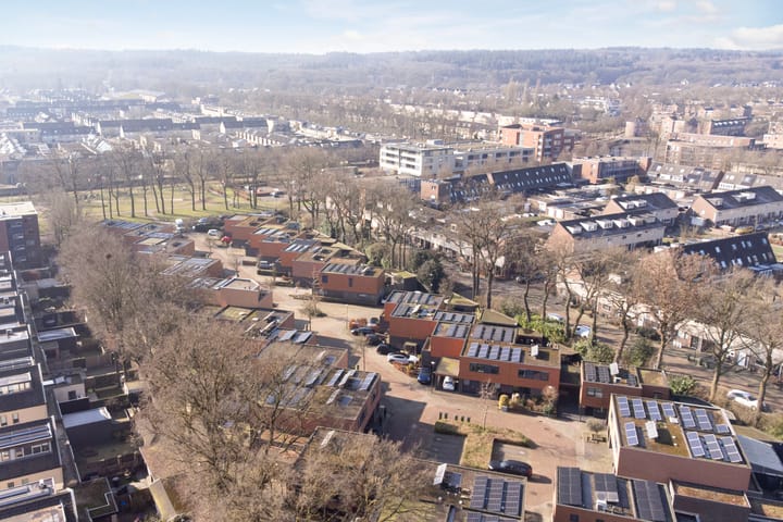 Foto 38 van Satijnzwam 25