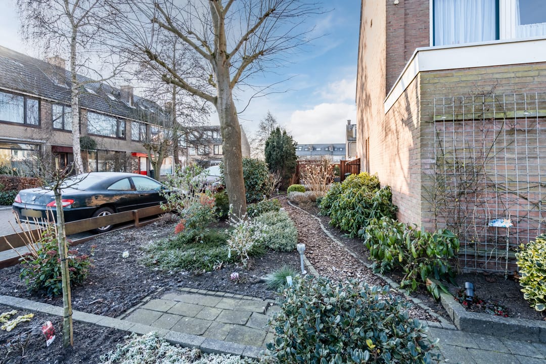 Foto 46 van Boesemsingel 25