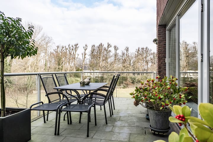 Foto 3 van Hagenduin 24