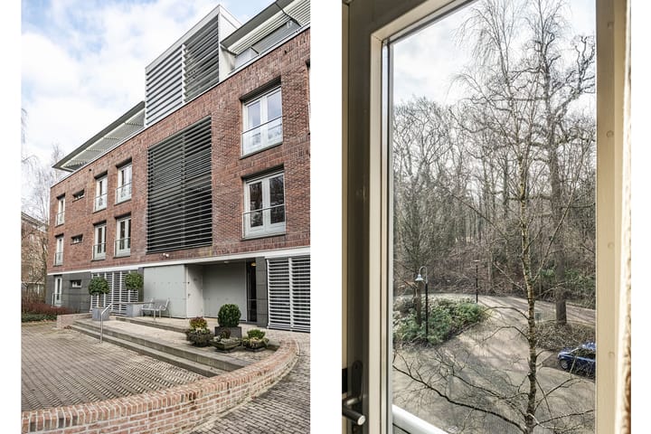 Foto 39 van Hagenduin 24