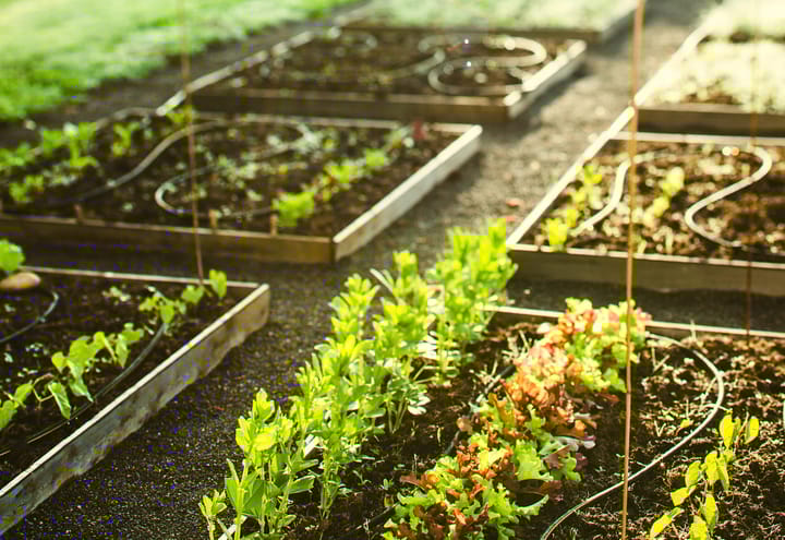 Foto 15 van Slingerpad 17 (Bouwnr. 23)