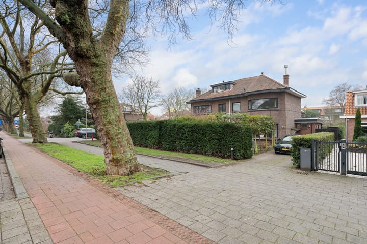 Foto 43 van Molenlaan 38