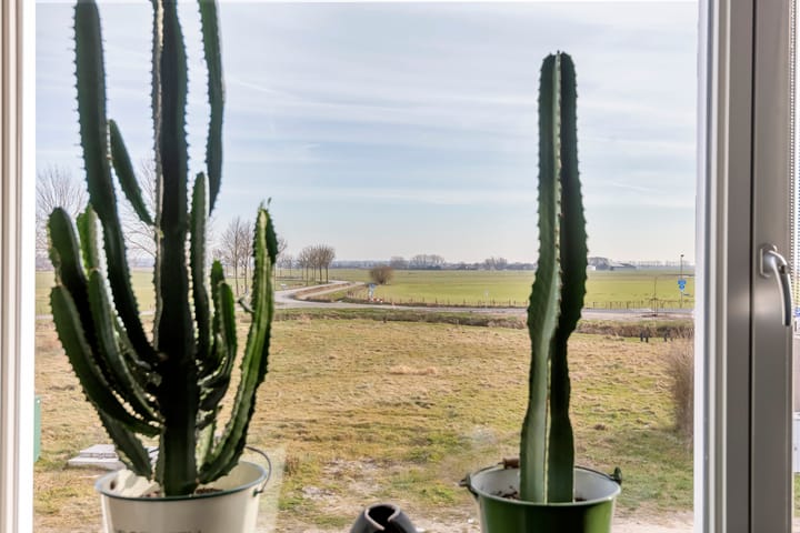 Foto 20 van Betuwe Singel 1