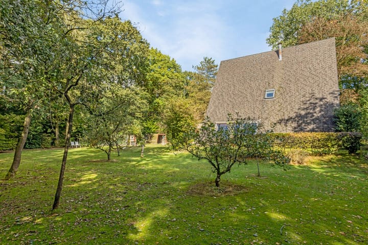 Foto 4 van Bosrand 3