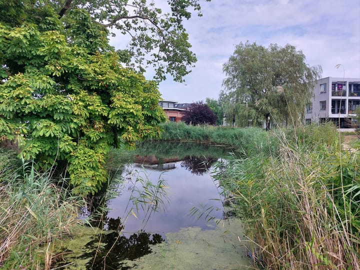 Foto 46 van Ohmstraat 4