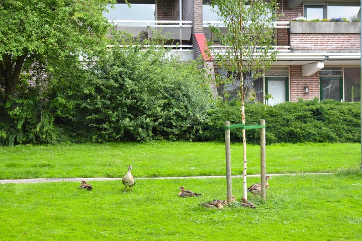 Foto 19 van Selde Rust 27-2