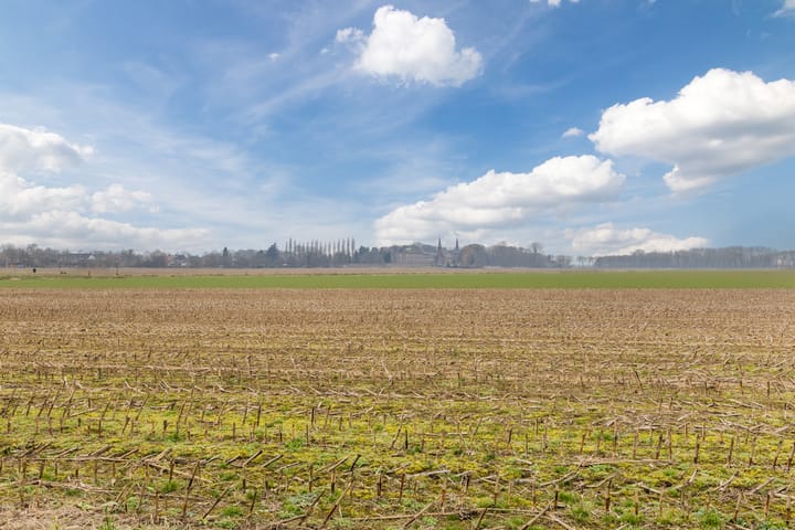 Foto 33 van Leuvensestraat 24