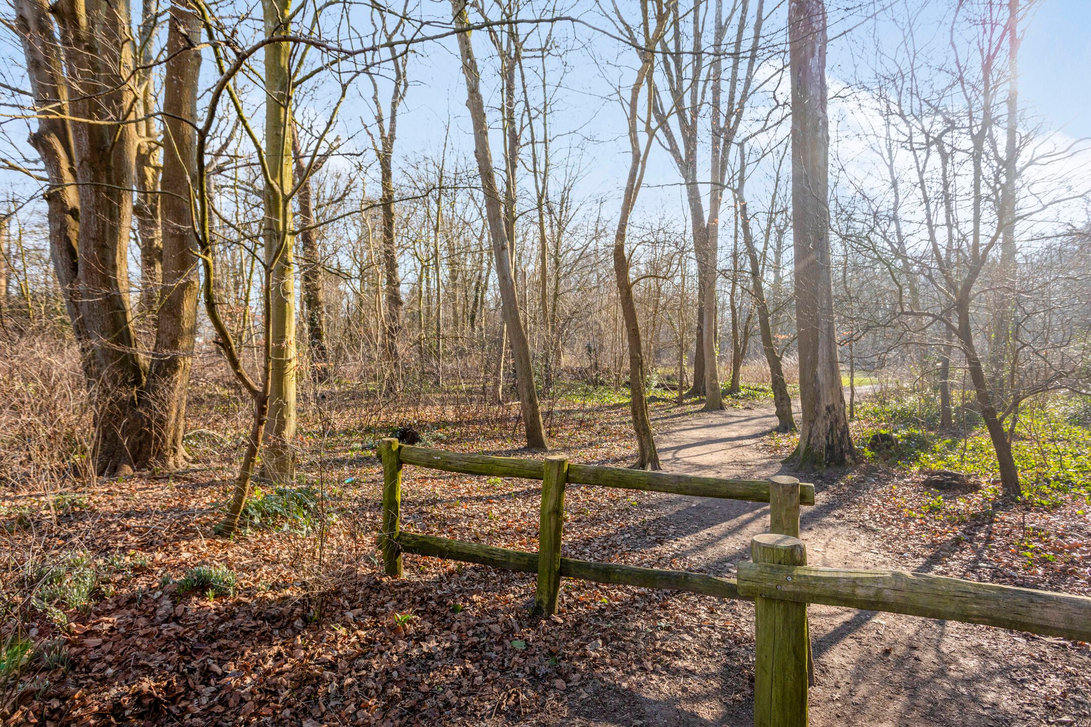 Foto 24 van Lindenlaan 129-A