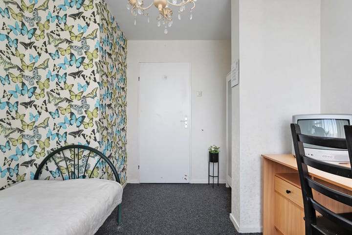 Foto 23 van De Praam 15