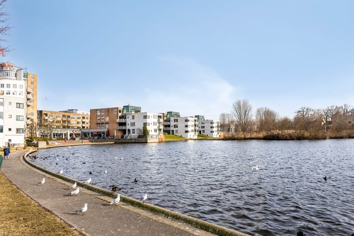 Foto 49 van De Slufter 13