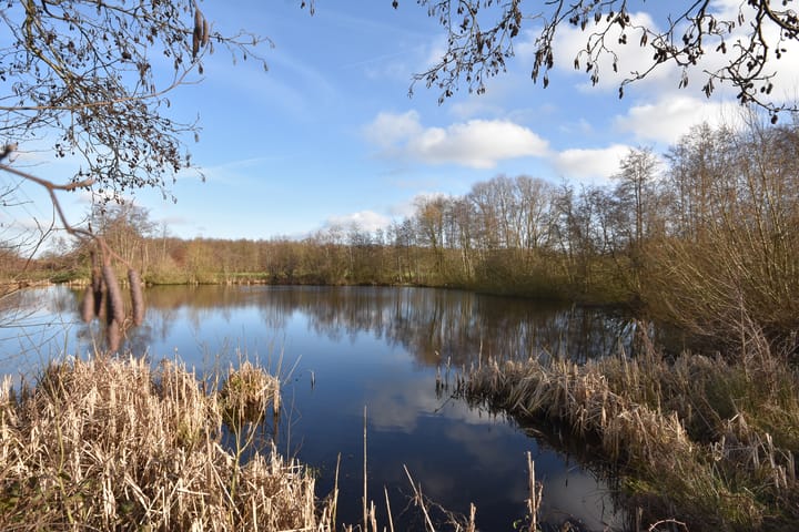 Foto 2 van Oude Commissieweg 14