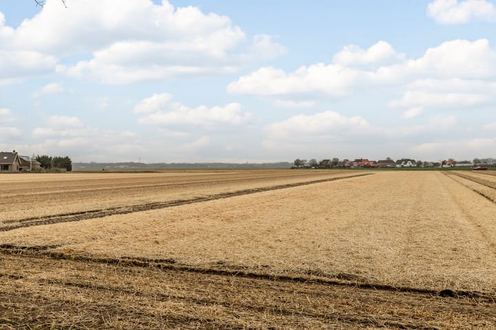 Foto 2 van Herenweg 11