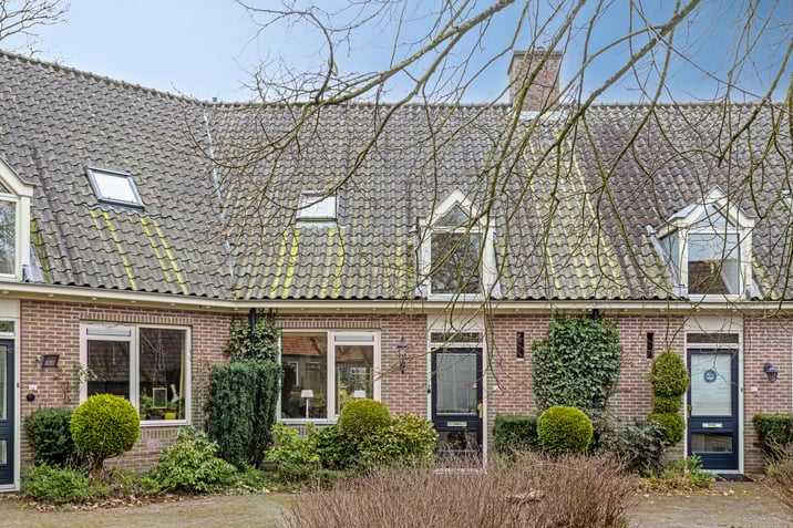 Burgemeester van den Boschstraat 44-b main image