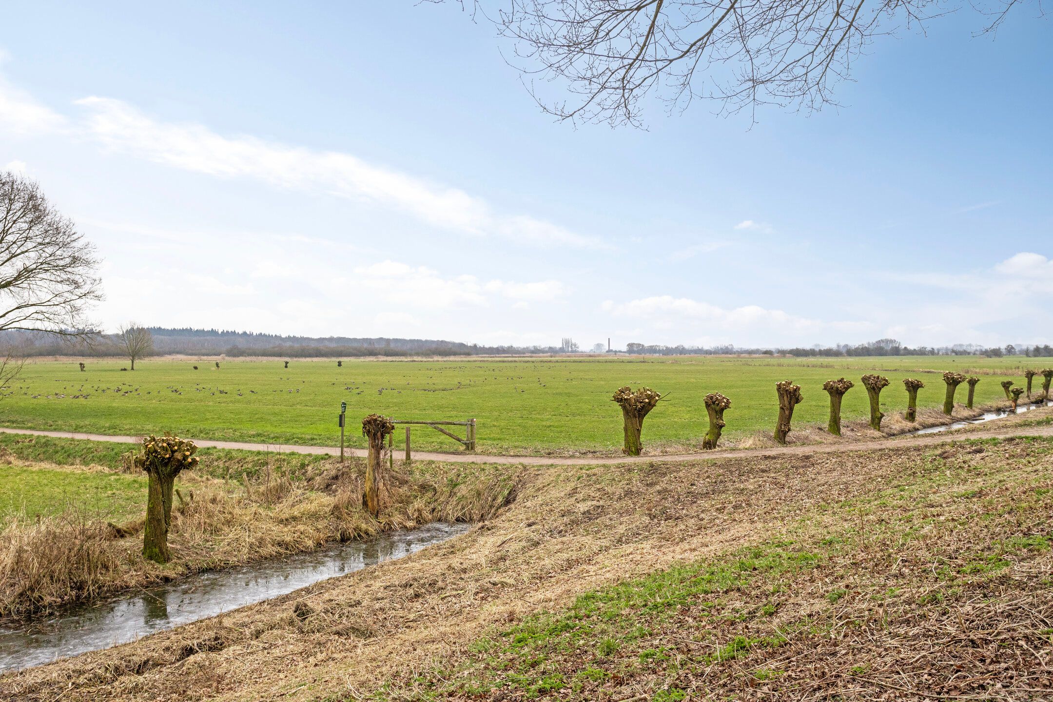 Foto 27 van Burgemeester van den Boschstraat 44-B