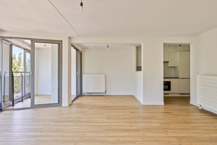 Foto 5 van Grote Beer 41