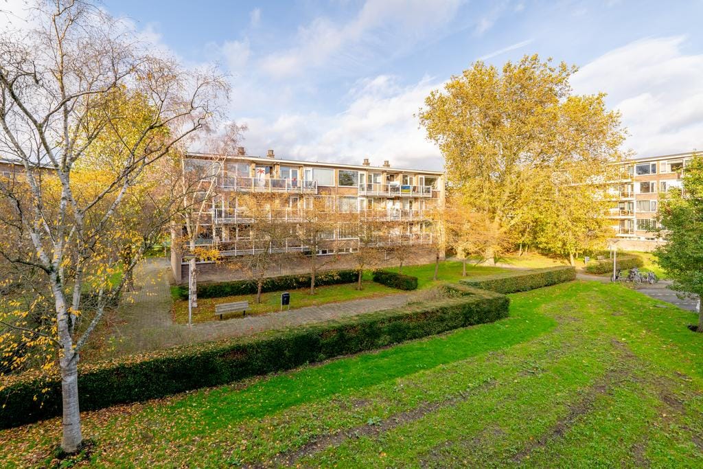 Foto 45 van Julianaplantsoen 178