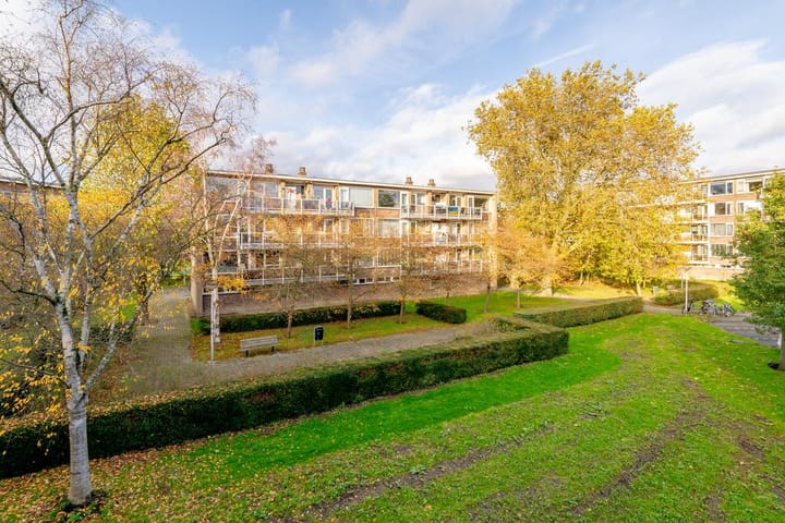 Foto 45 van Julianaplantsoen 178