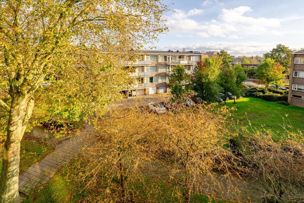 Foto 46 van Julianaplantsoen 178