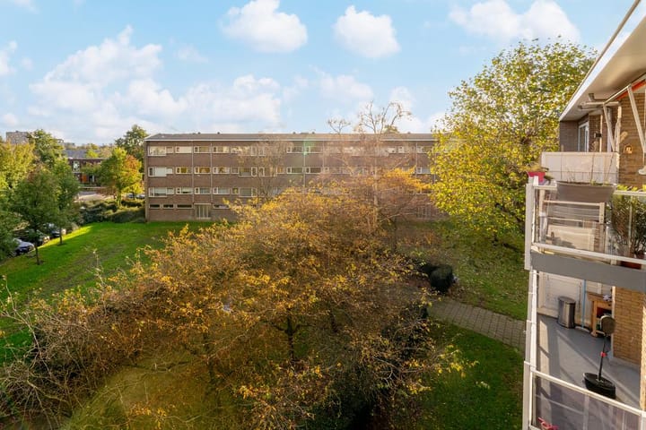 Foto 47 van Julianaplantsoen 178