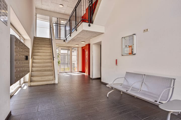 Foto 23 van Grote Beer 89