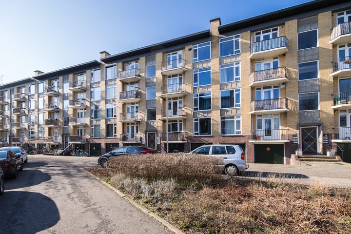 Foto 6 van Tolsteegplantsoen 8-3