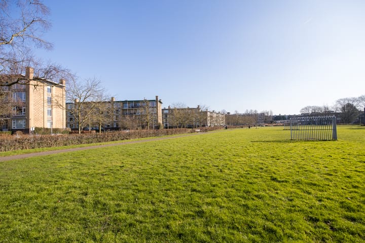 Foto 48 van Tolsteegplantsoen 8-3