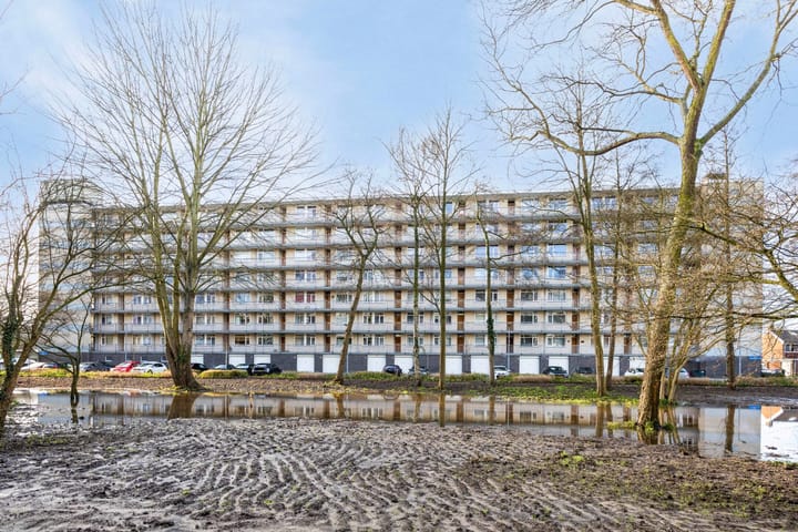 Foto 20 van Everaertstraat 345