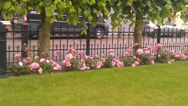 Foto 5 van Hoofdstraat 38