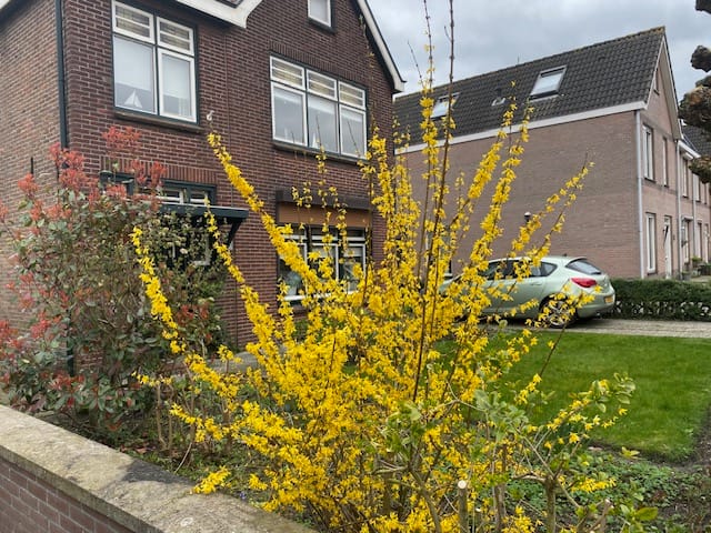 Photo 30 of Hoofdstraat 38