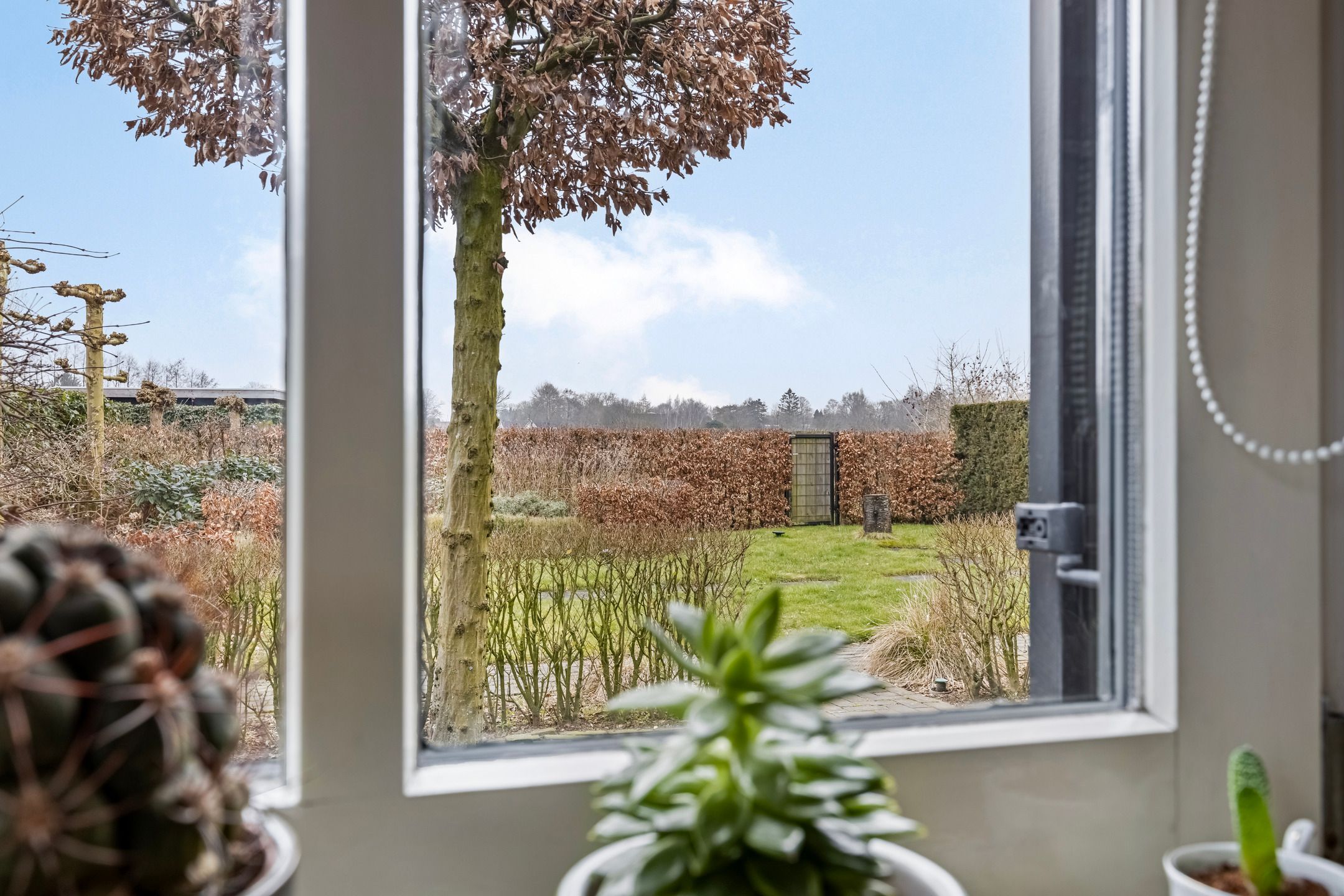 Foto 21 van De Kwekerij 1