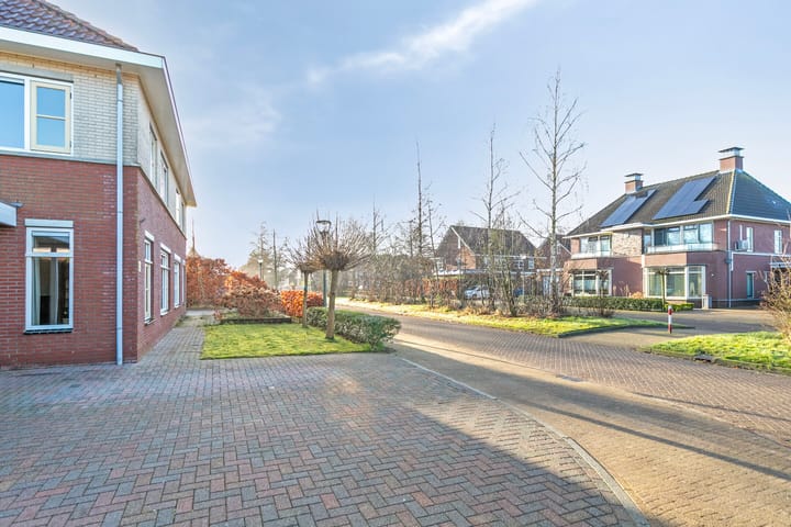 Foto 7 van Zwarte Els 22