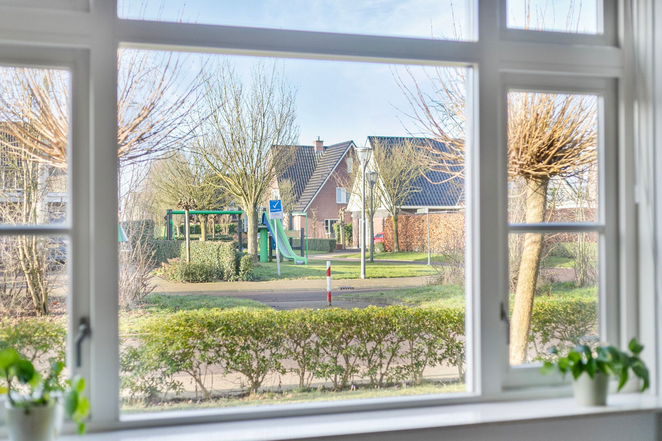 Foto 15 van Zwarte Els 22