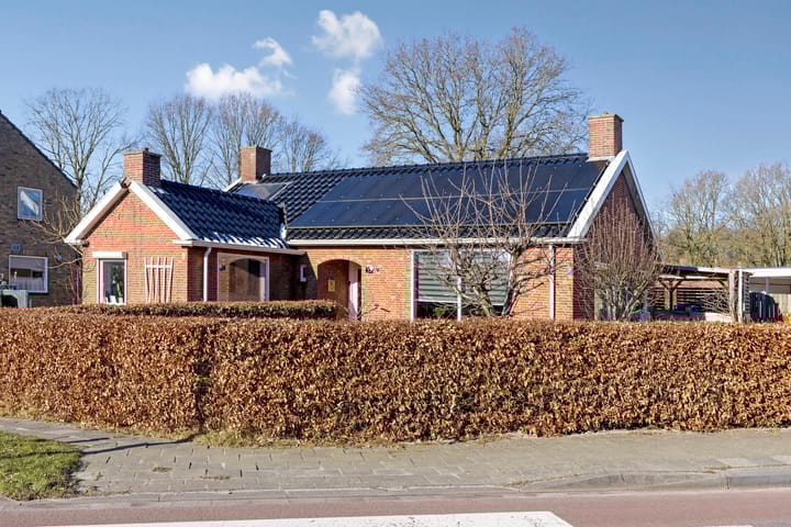 undefined main image
