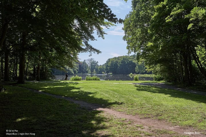 Foto 30 van 2e Louise de Colignystraat 28