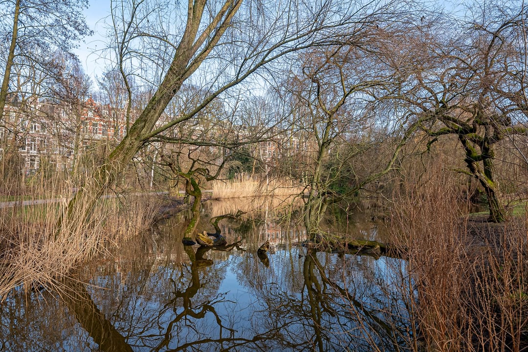 Foto 28 van Ceintuurbaan 173-H