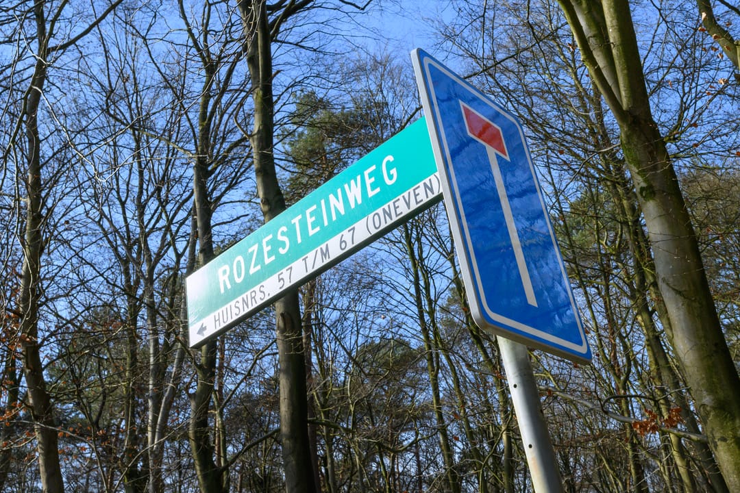 Foto 32 van Rozesteinweg 67