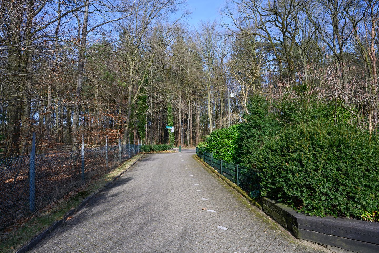 Foto 35 van Rozesteinweg 67