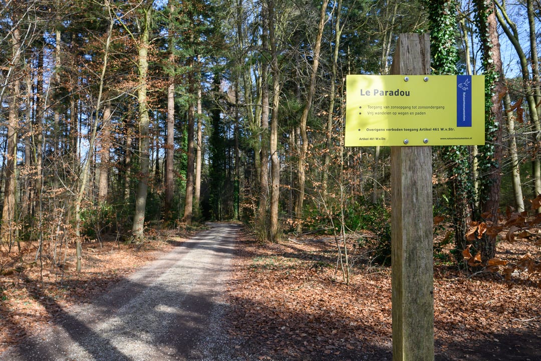 Foto 41 van Rozesteinweg 67