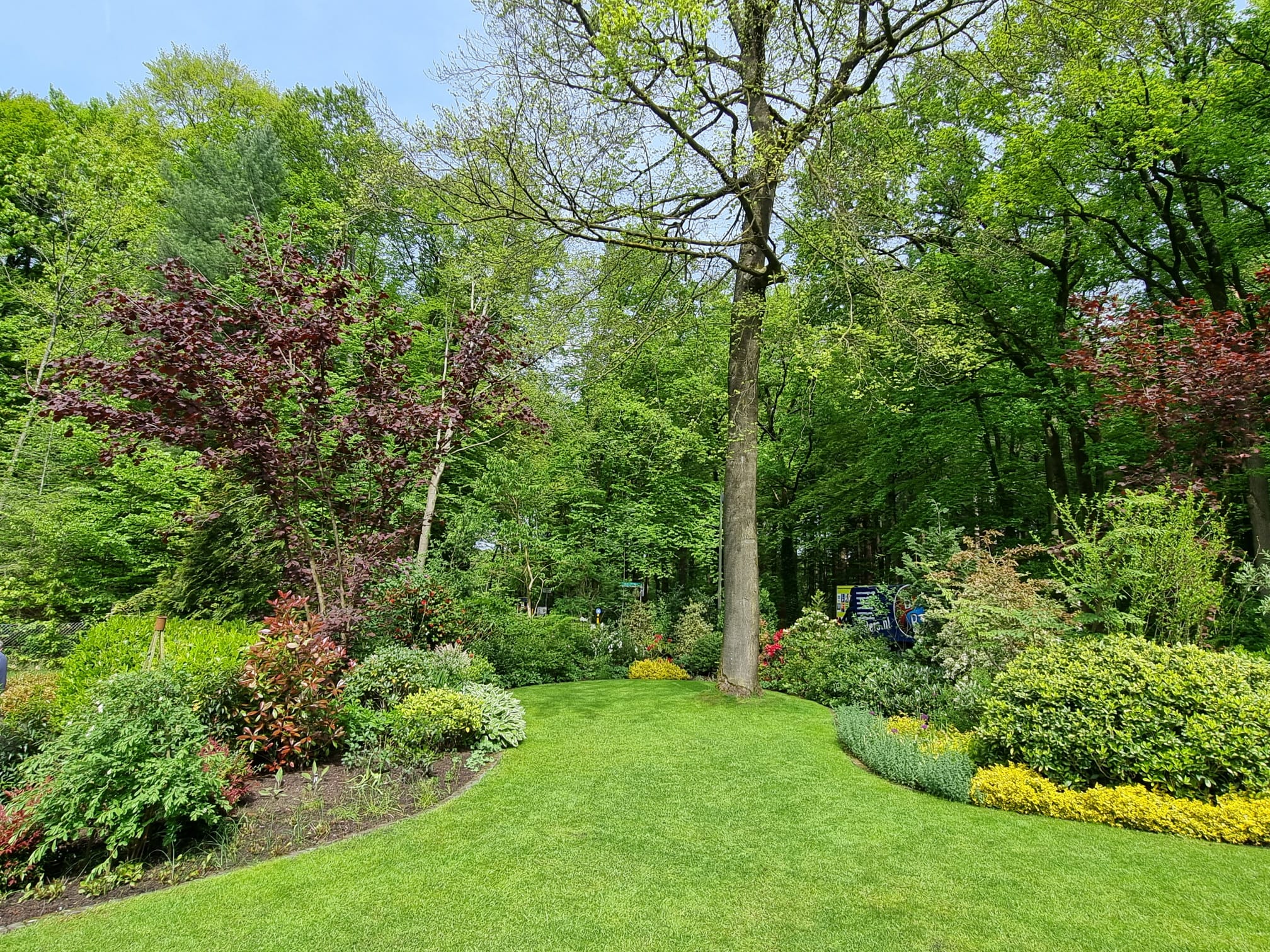 Foto 42 van Rozesteinweg 67