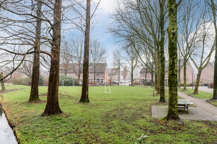 Photo 40 of Kruiwiel 40