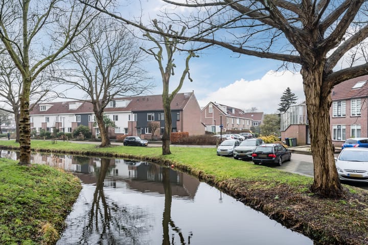 Photo 42 of Kruiwiel 40