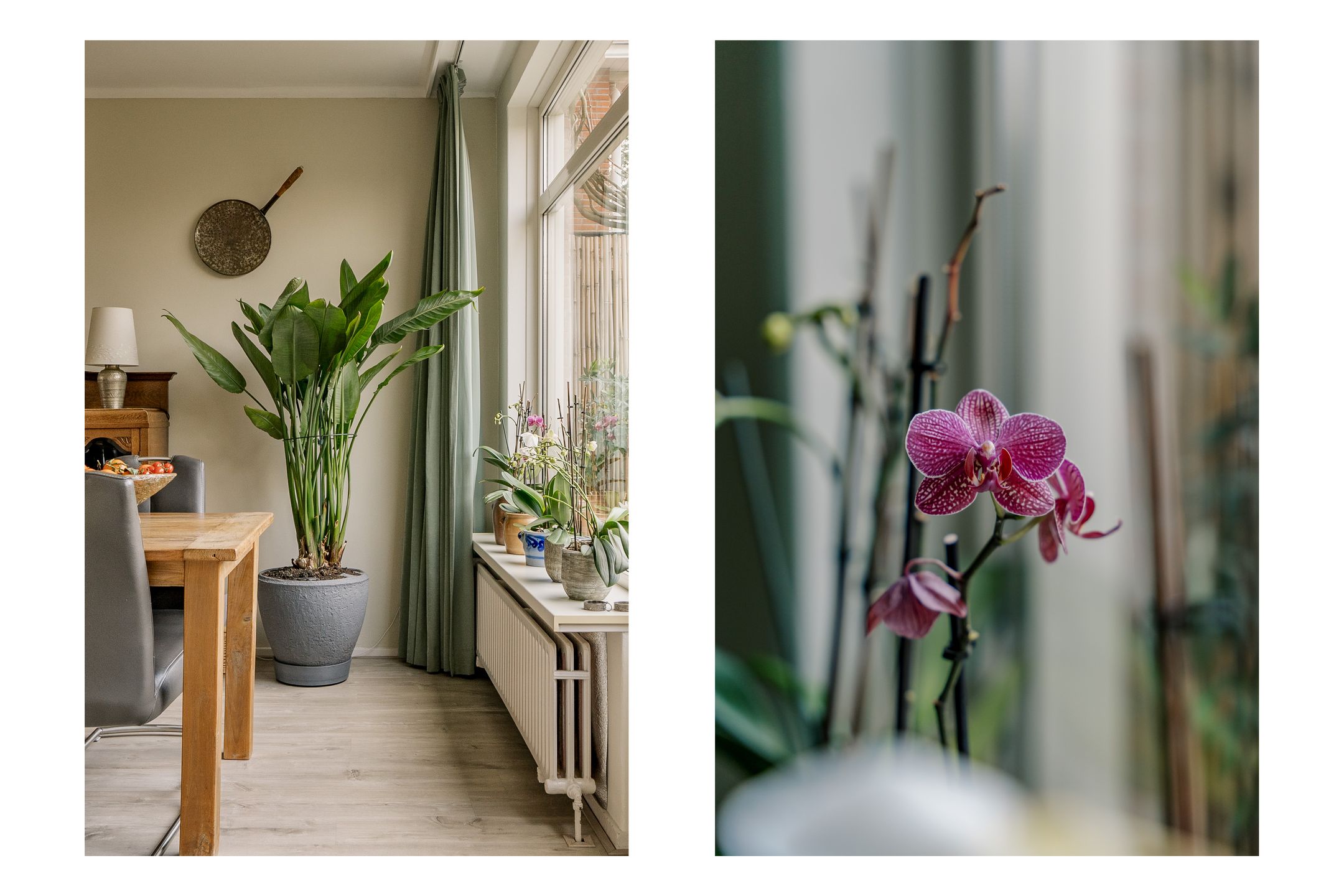 Foto 36 van Betje Wolfflaan 5