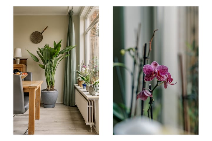 Photo 36 of Betje Wolfflaan 5