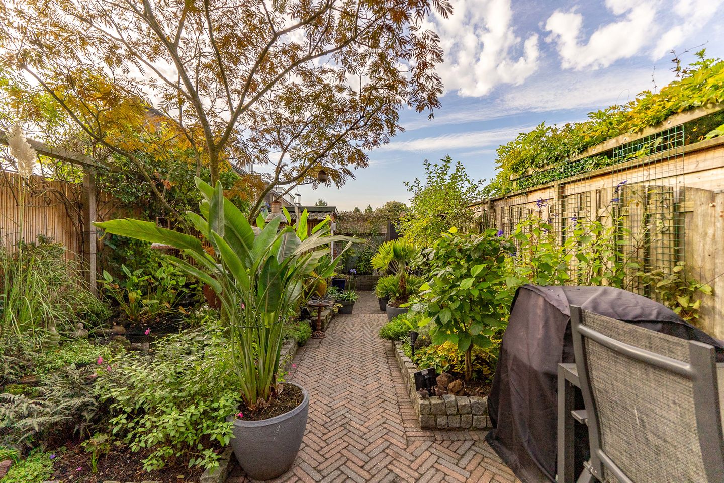 Foto 40 van Betje Wolfflaan 5