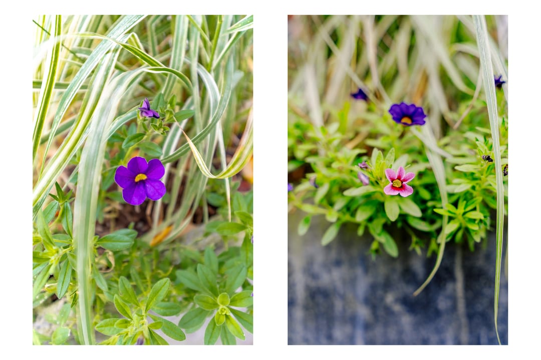 Foto 43 van Betje Wolfflaan 5