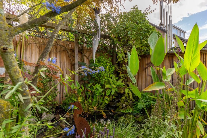 Photo 44 of Betje Wolfflaan 5