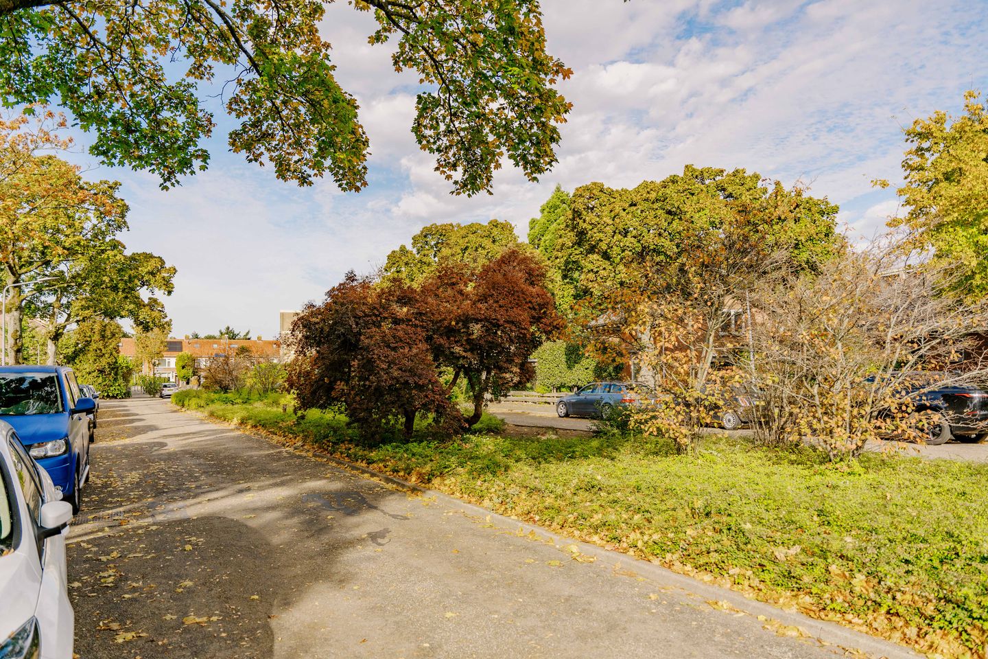 Foto 49 van Betje Wolfflaan 5