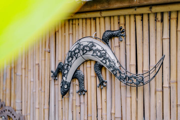 Photo 50 of Betje Wolfflaan 5