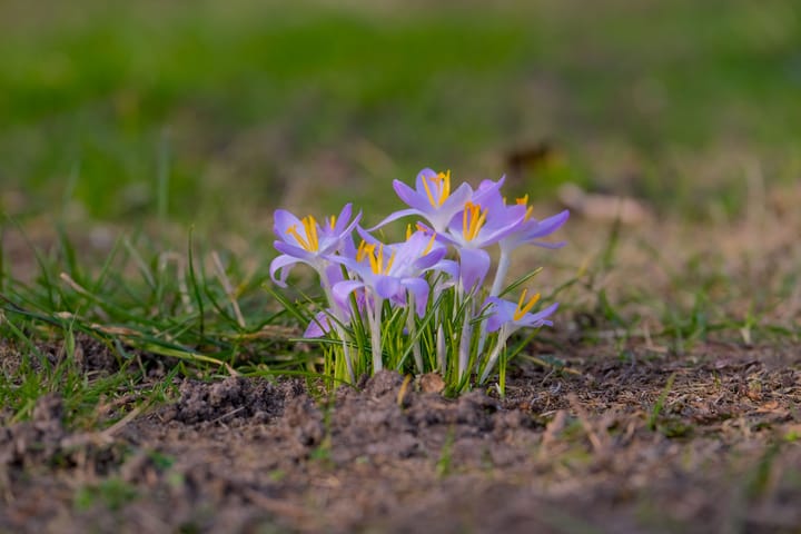 Foto 22 van Hoenlo 27